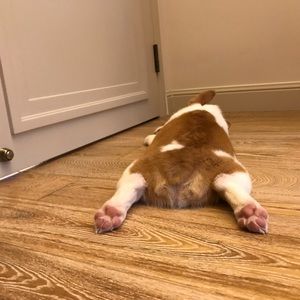 Meet your Posher, Lucinda