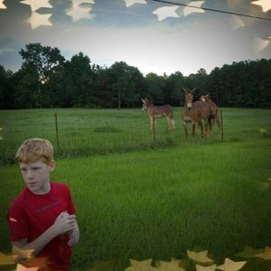 Meet your Posher, Janelle