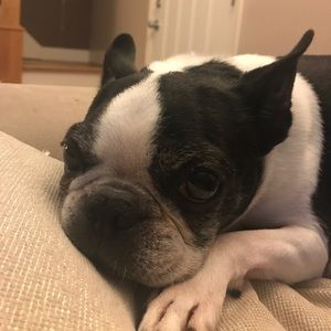 Meet your Posher, Dave