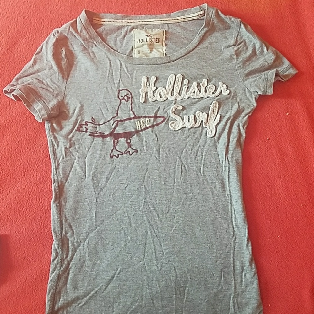 Hollister surf t. small