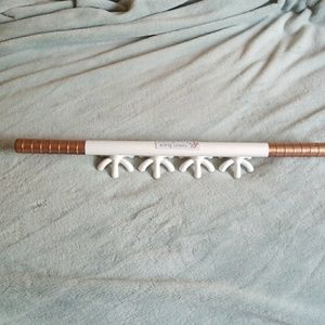 Ashley Black Fascia Blaster