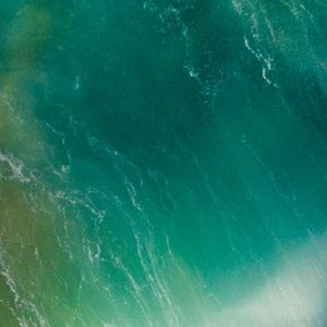 Meet your Posher, Connor