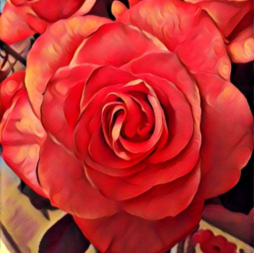 Meet your Posher, Melissa