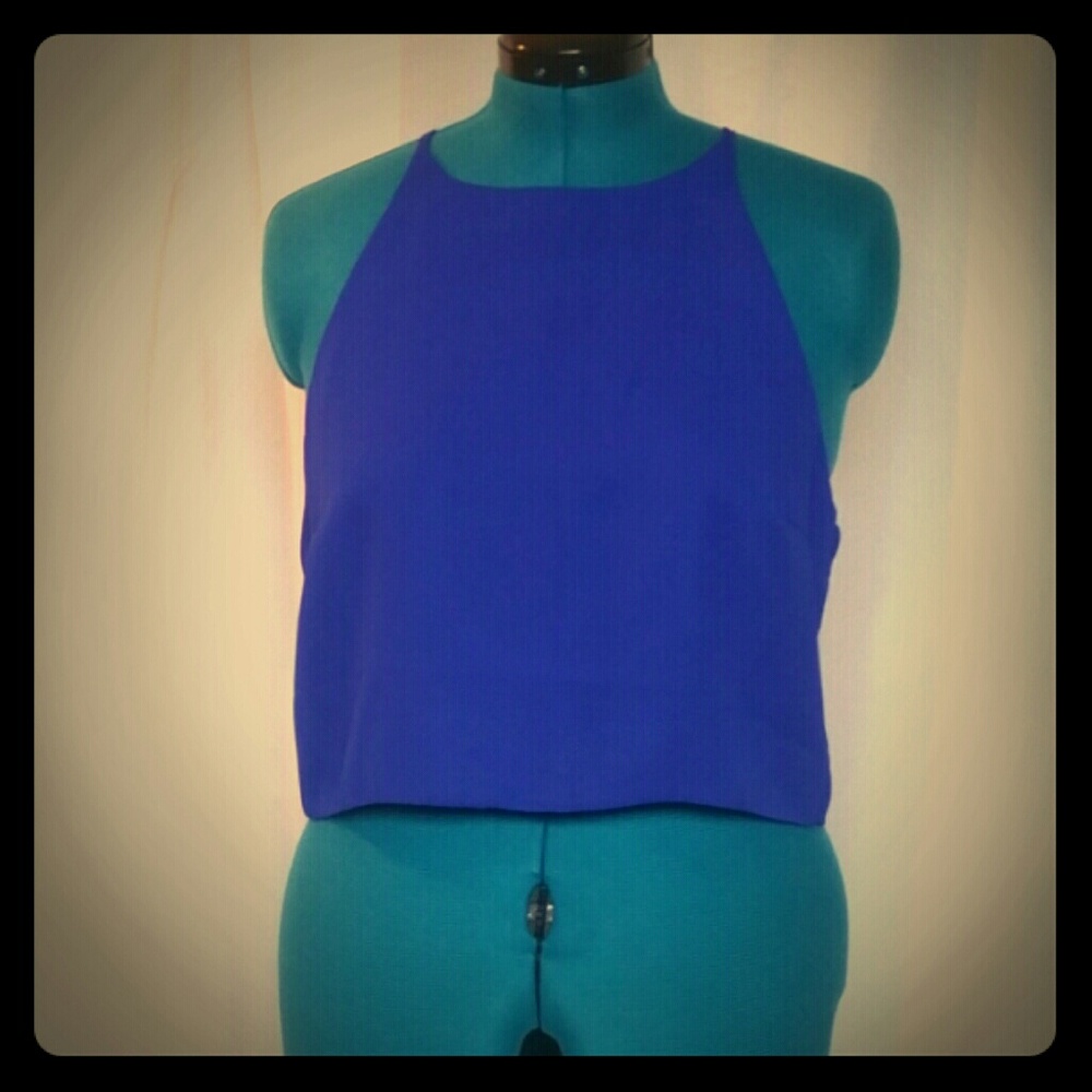 *2/$5 SALE!* Cobalt Blue Cropped Top - Size: XL