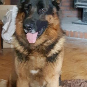 Meet your Posher, Lynnmarie