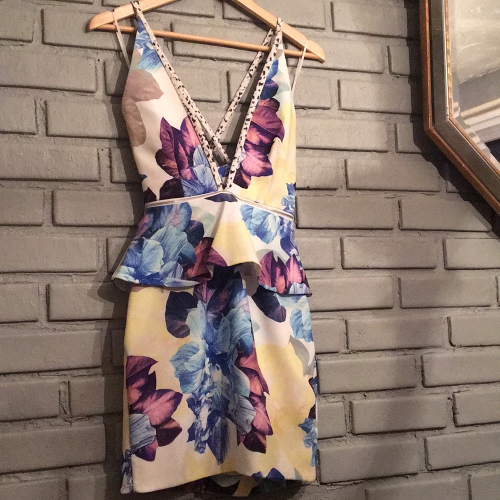 Bec & Bridge dress