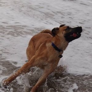 Meet your Posher, Stephen