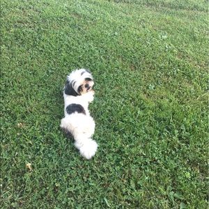 Meet your Posher, Mariah