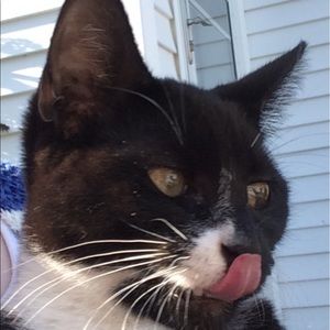 Meet your Posher, Kara