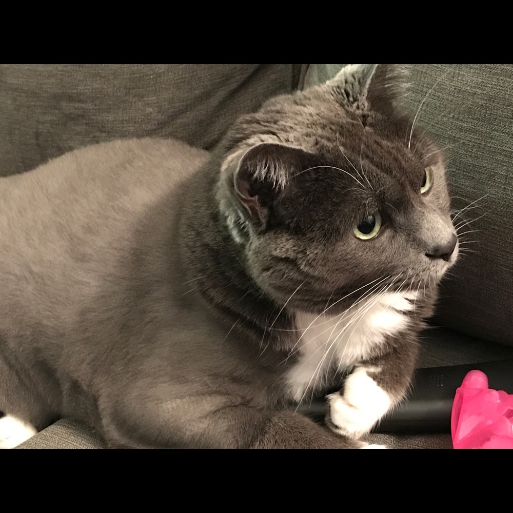 Meet your Posher, Tori