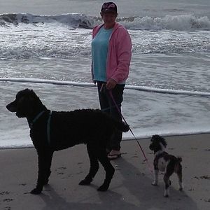 Meet your Posher, Rebecca