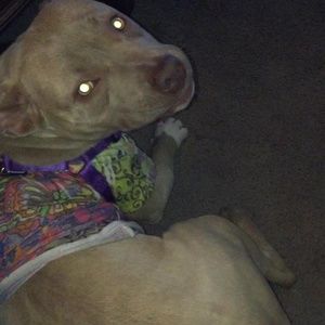 Meet your Posher, Tory