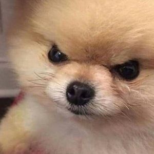 Meet your Posher, Jay