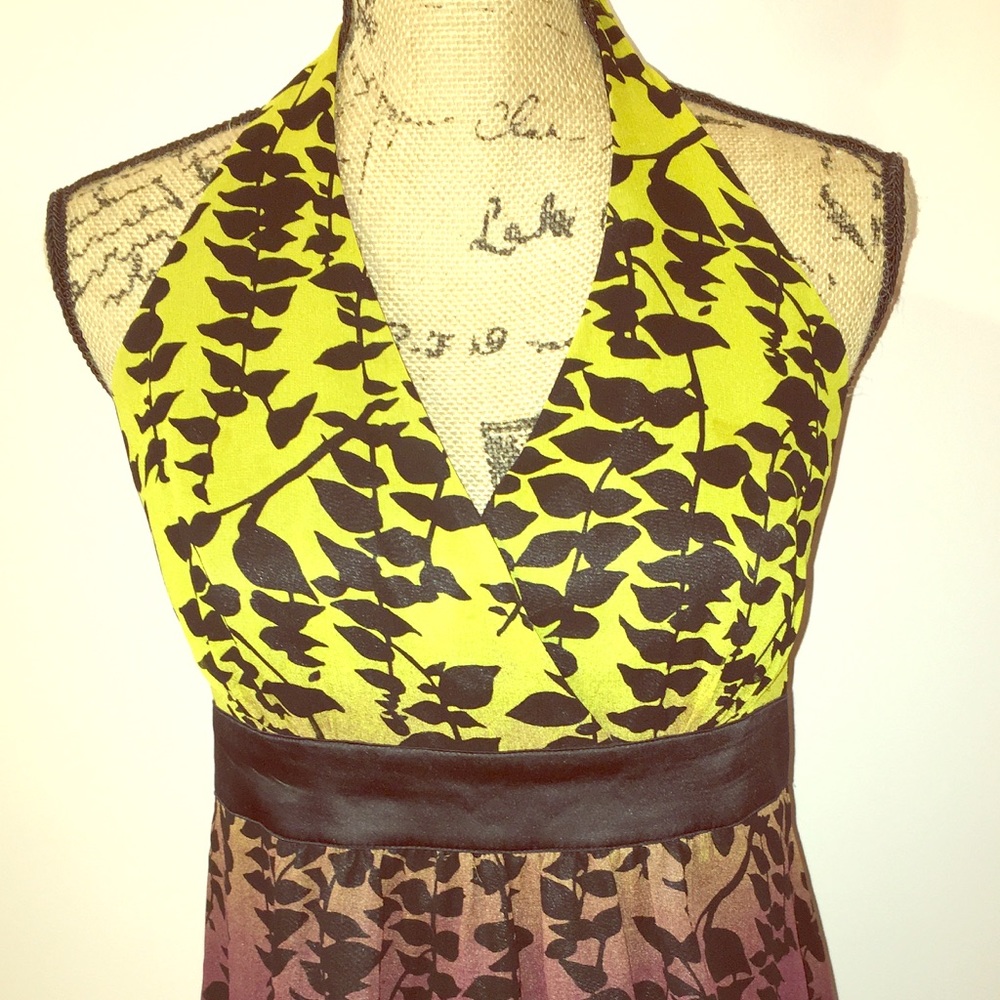 Express Top - Picture 2 of 5