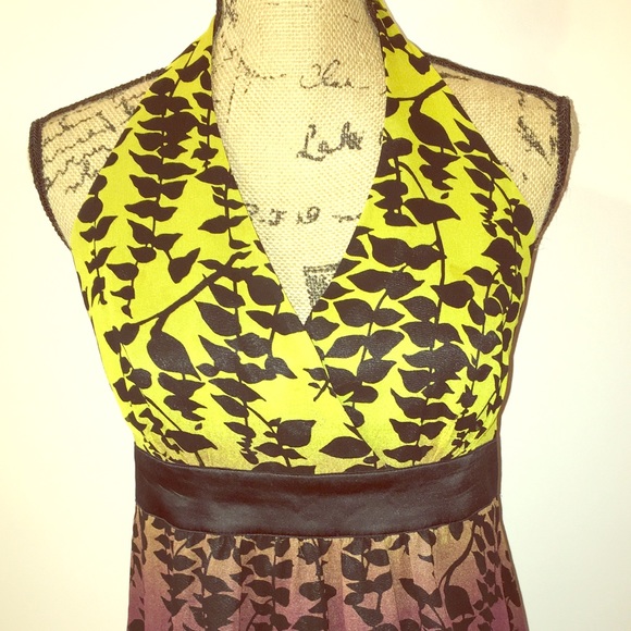 Express Top - Picture 2 of 5