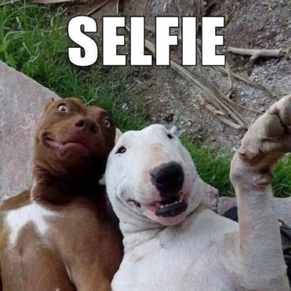 Meet your Posher, Helen