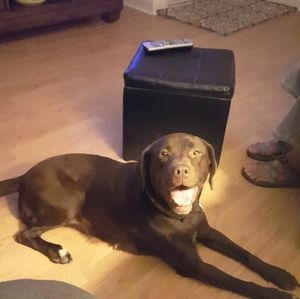 Meet your Posher, Meghan