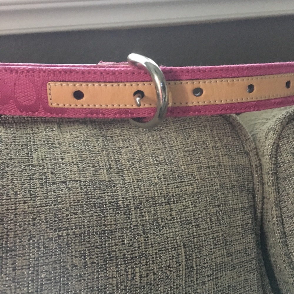 Coach belt medium