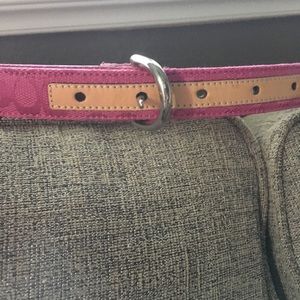 Coach belt medium
