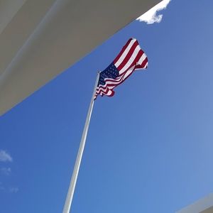 Meet your Posher, Trevor