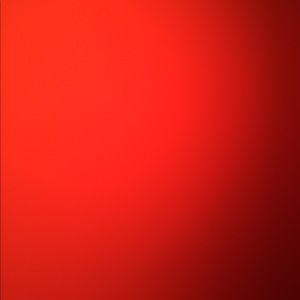 Meet your Posher, Olliver