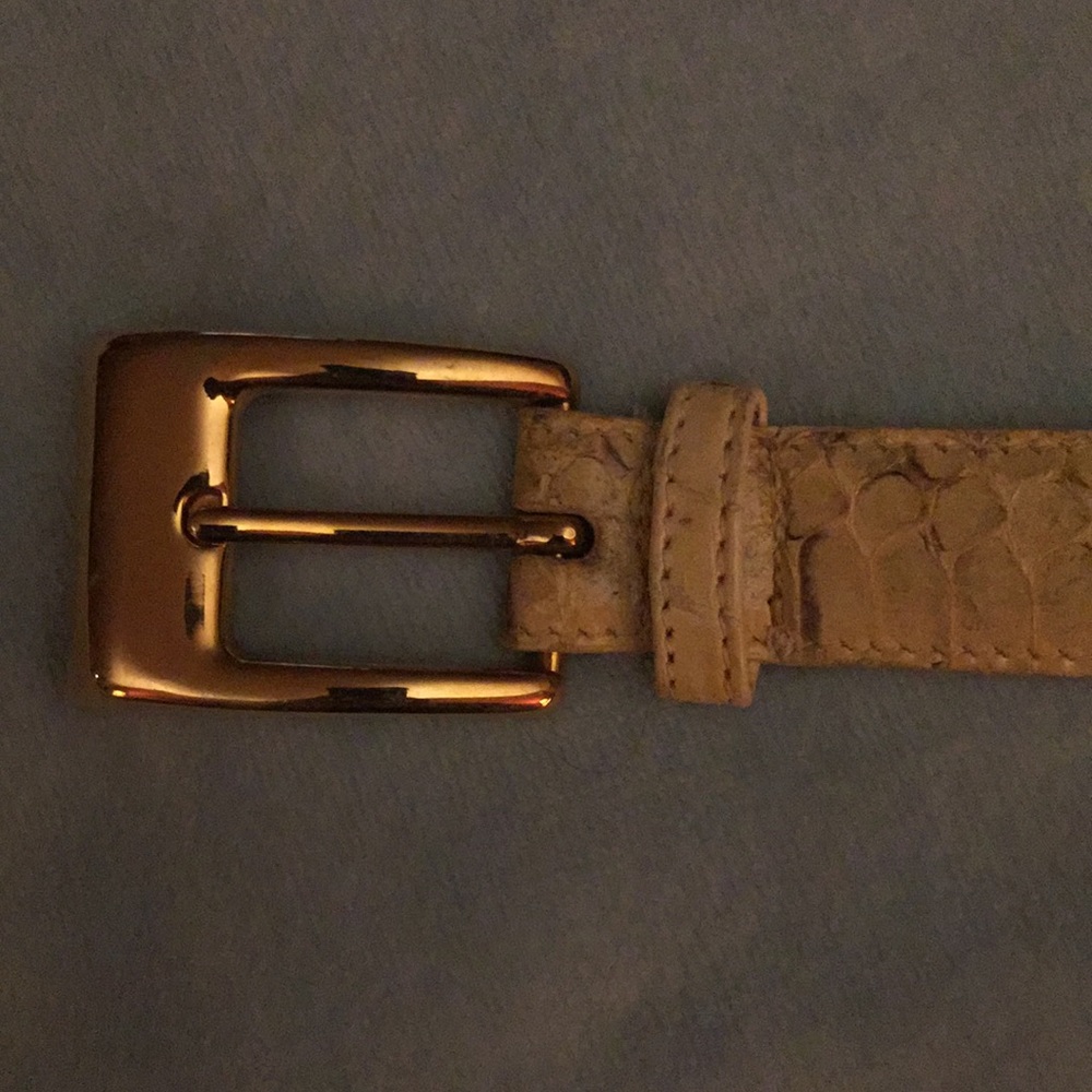 Stunning snakeskin medium belt!