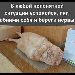 Meet your Posher, Natalia