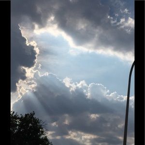 Meet your Posher, Robyn