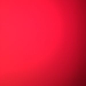 Meet your Posher, Will