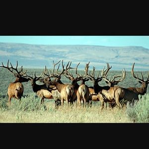 Meet your Posher, Raul