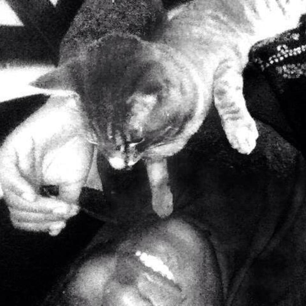 Meet your Posher, Sam