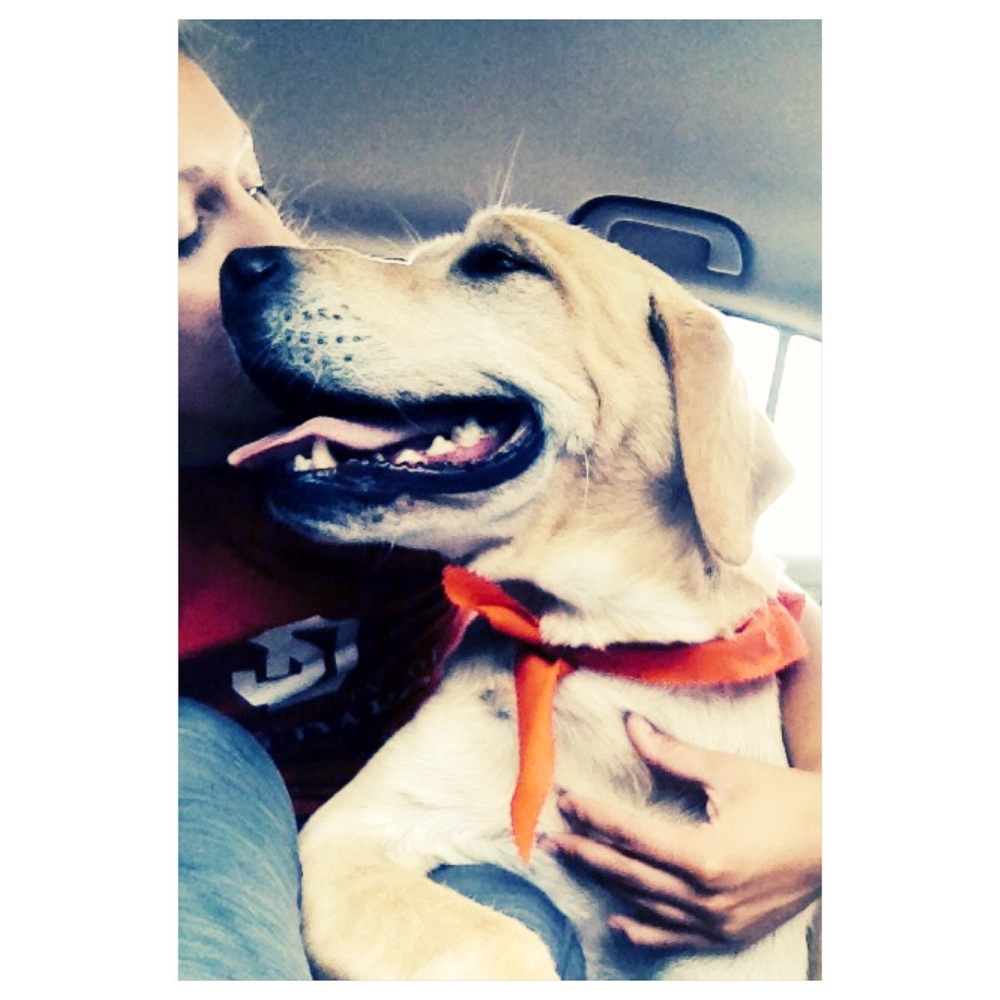 Meet your Posher, Courtney