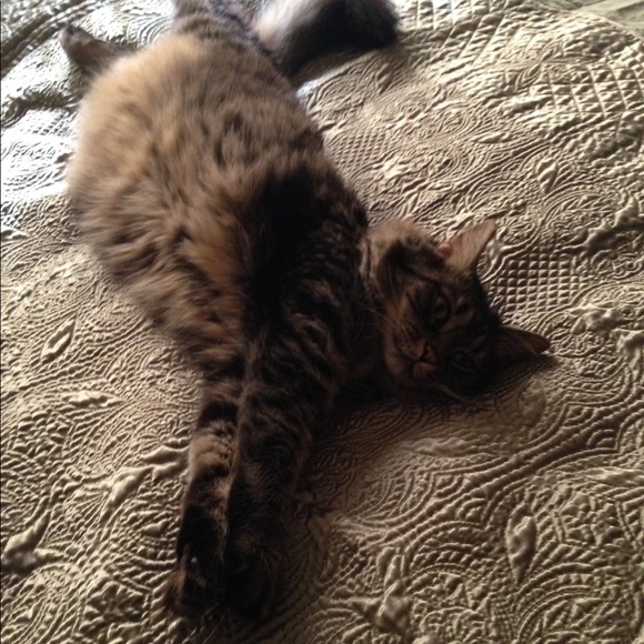 Meet your Posher, Rhonda - Picture 6 of 8