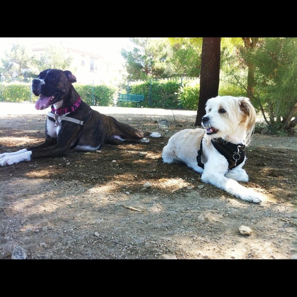 Meet your Posher, Rhonda - Picture 8 of 8