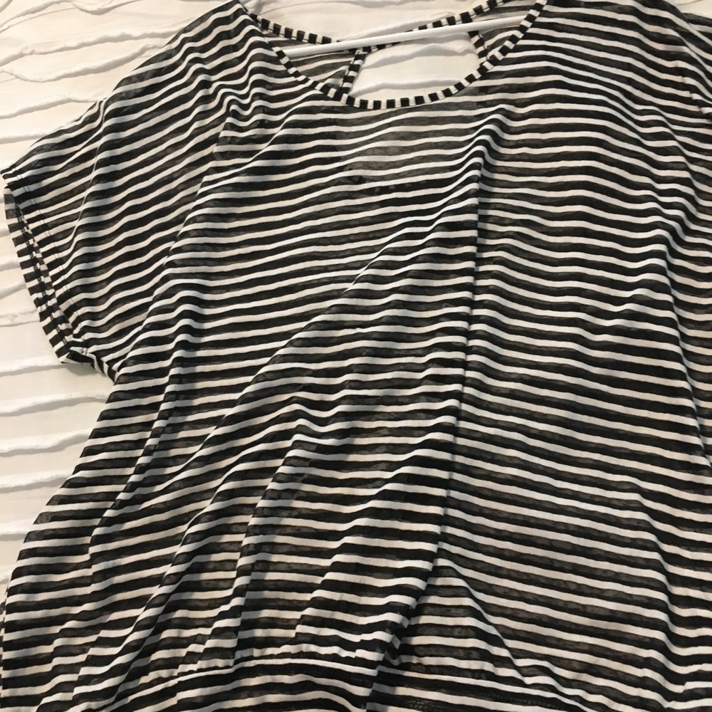 Lane Bryant sheer and dressy blouse