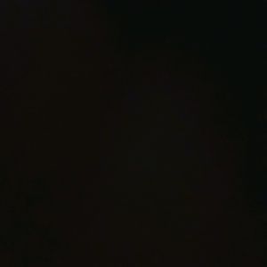 Meet your Posher, Hector