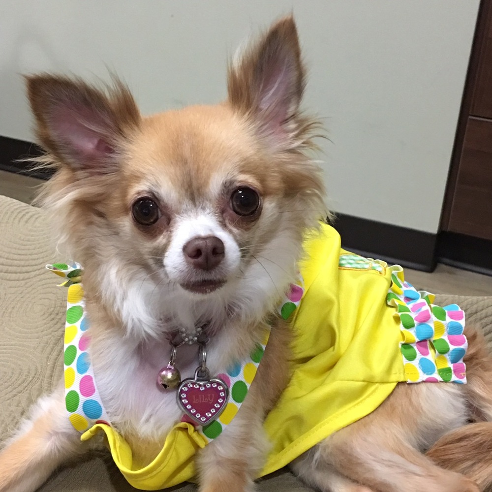 Meet your Posher, Mandy