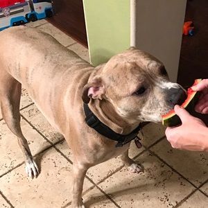 Meet your Posher, Kenny