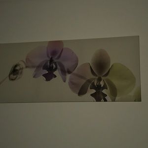 Meet your Posher, Steve