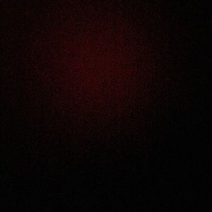 Meet your Posher, Allie