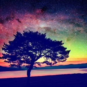 Meet your Posher, Adrian