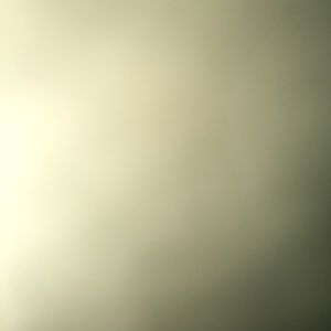 Meet your Posher, Monique