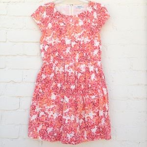 Madewell Lacebloom Dress