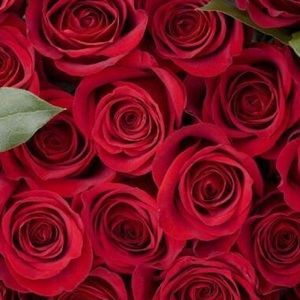 Meet your Posher, Kade