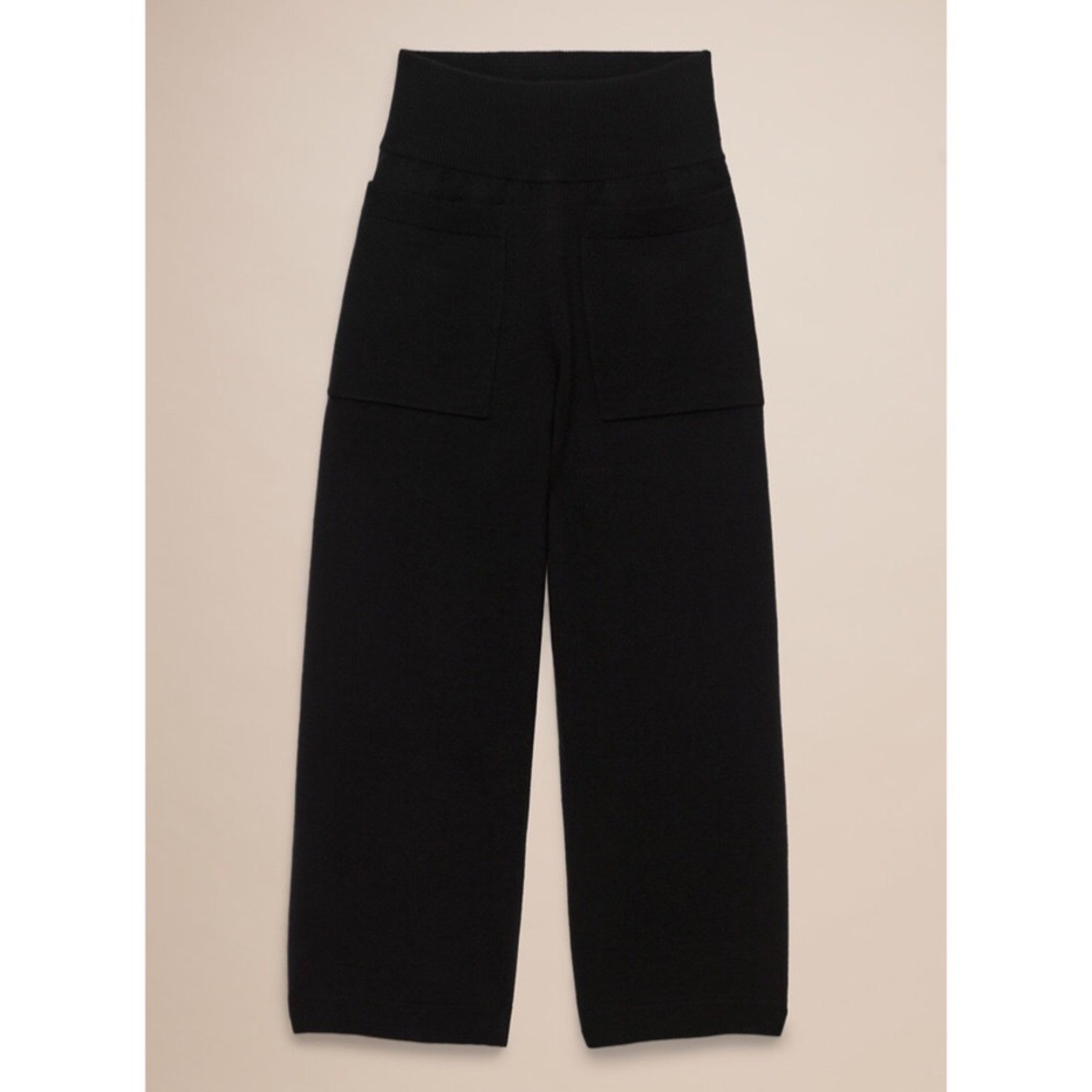 Aritzia Brion pant in black
