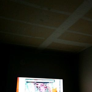 Meet your Posher, Sasha