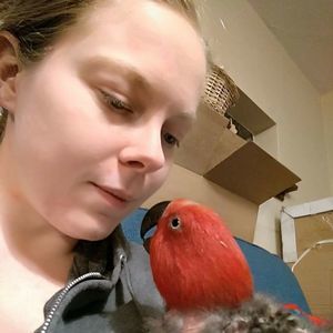 Meet your Posher, Amanda