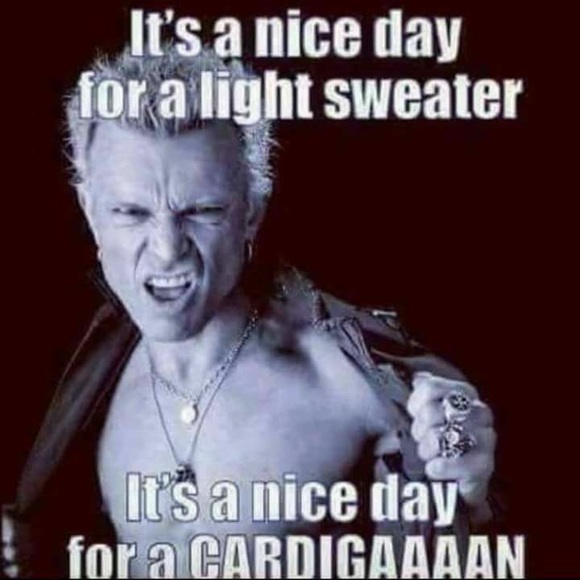 Meet your Posher, Ali Kat - Picture 4 of 8