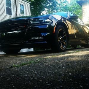 Meet your Posher, Daniel