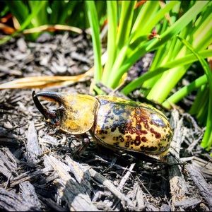 Meet your Posher, Courtney